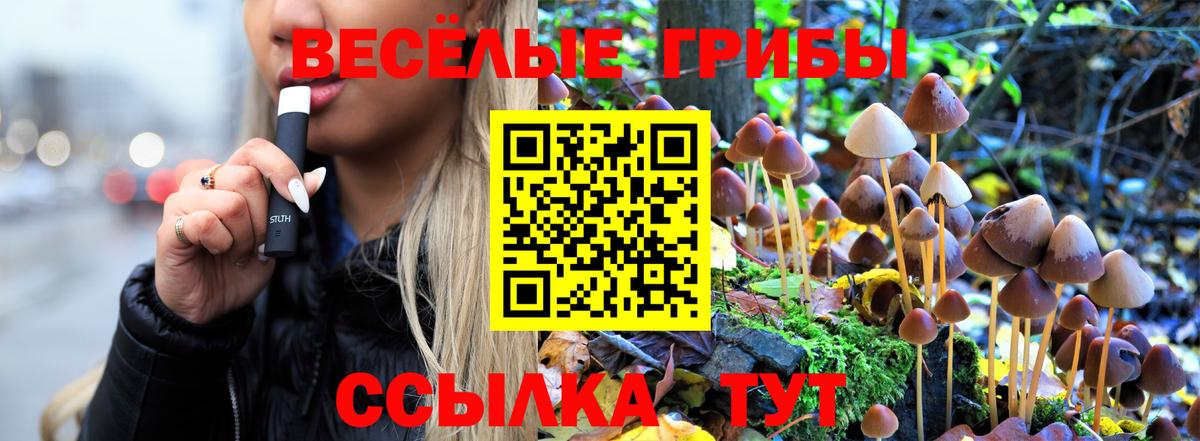 Галлюциногенные грибы Cubensis Вичуга