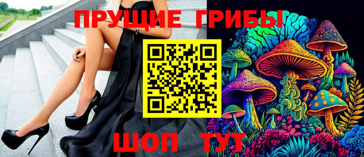 Вичуга  Галлюциногенные грибы Cubensis  Вход с VPN 